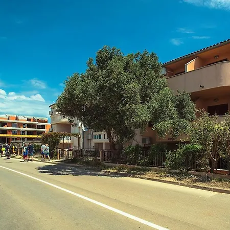 Apartment Amy Medulin